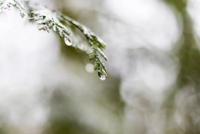 空氣濕度大帶來的危害有哪些，你知道嗎？