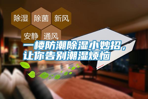 一樓防潮除濕小妙招，讓你告別潮濕煩惱