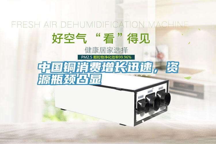 中國銅消費(fèi)增長迅速，資源瓶頸凸顯