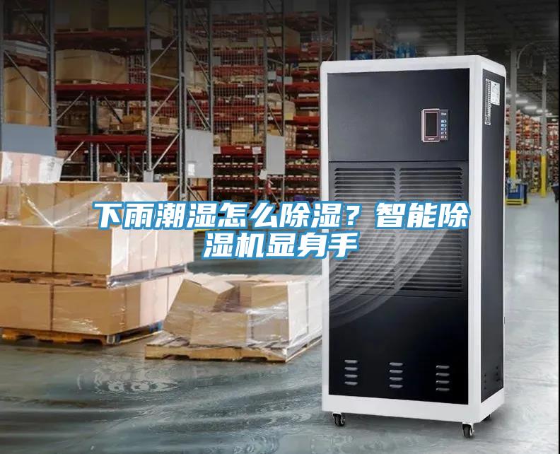 下雨潮濕怎么除濕？智能除濕機(jī)顯身手