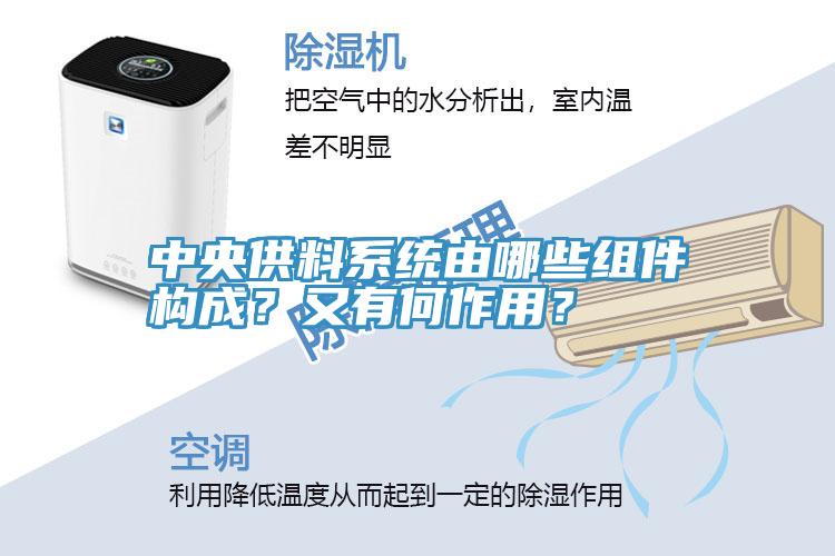 中央供料系統(tǒng)由哪些組件構(gòu)成？又有何作用？