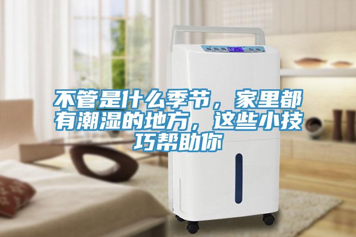 不管是什么季節(jié)，家里都有潮濕的地方，這些小技巧幫助你