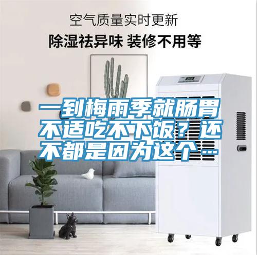 一到梅雨季就腸胃不適吃不下飯？還不都是因為這個…