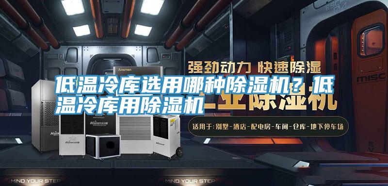 低溫冷庫選用哪種除濕機(jī)？低溫冷庫用除濕機(jī)