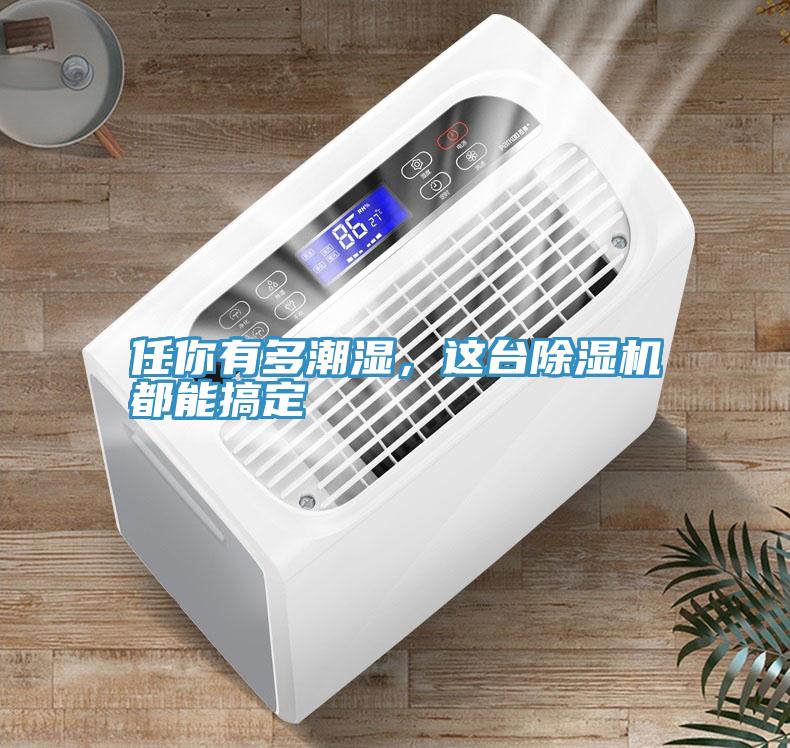 任你有多潮濕，這臺除濕機(jī)都能搞定