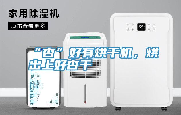 “杏”好有烘干機，烘出上好杏干