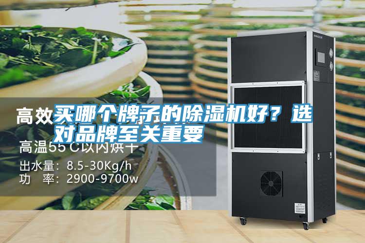 買哪個(gè)牌子的除濕機(jī)好？選對品牌至關(guān)重要