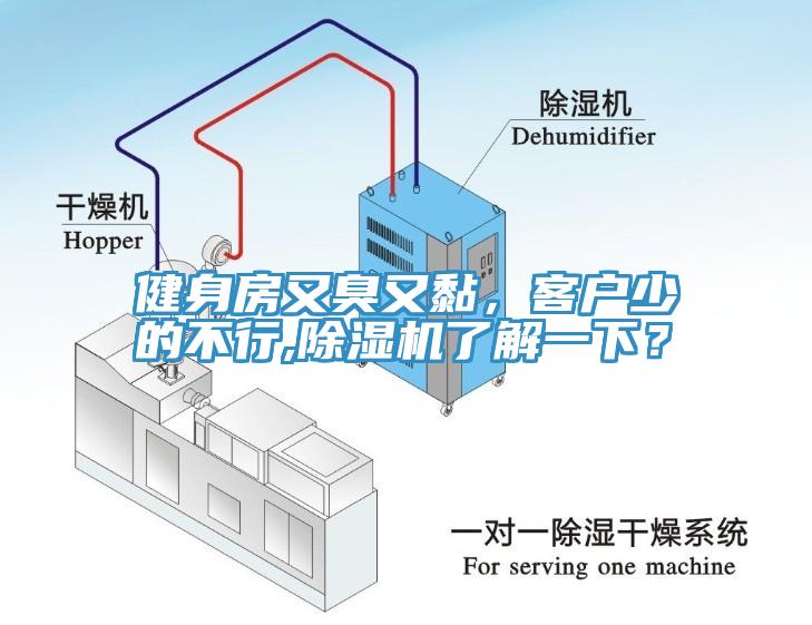 健身房又臭又黏，客戶少的不行,除濕機了解一下？