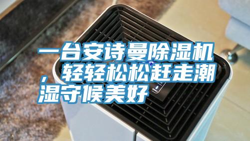 一臺(tái)安詩(shī)曼除濕機(jī)，輕輕松松趕走潮濕守候美好