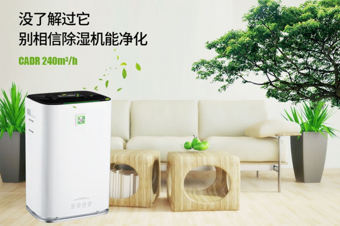 一到回南天狗狗就感冒+皮膚病，怎么辦？