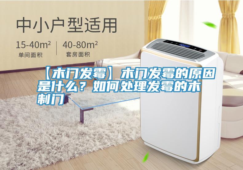 【木門發(fā)霉】木門發(fā)霉的原因是什么？如何處理發(fā)霉的木制門