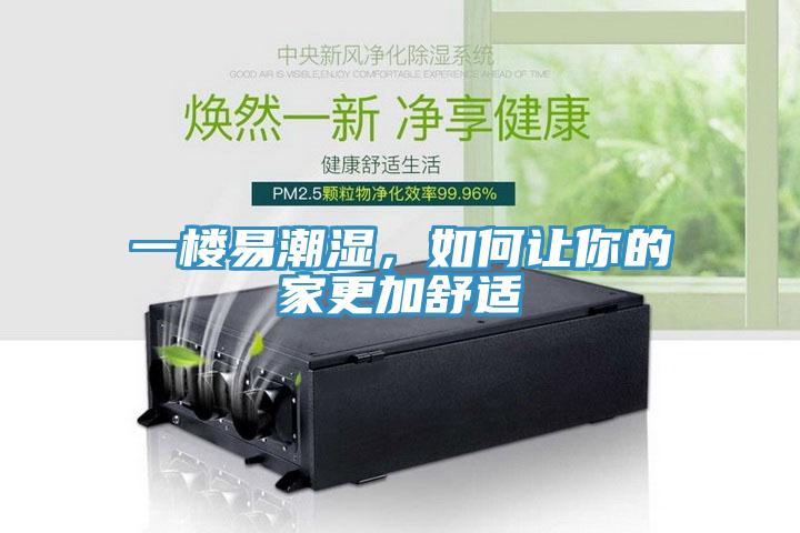 一樓易潮濕，如何讓你的家更加舒適