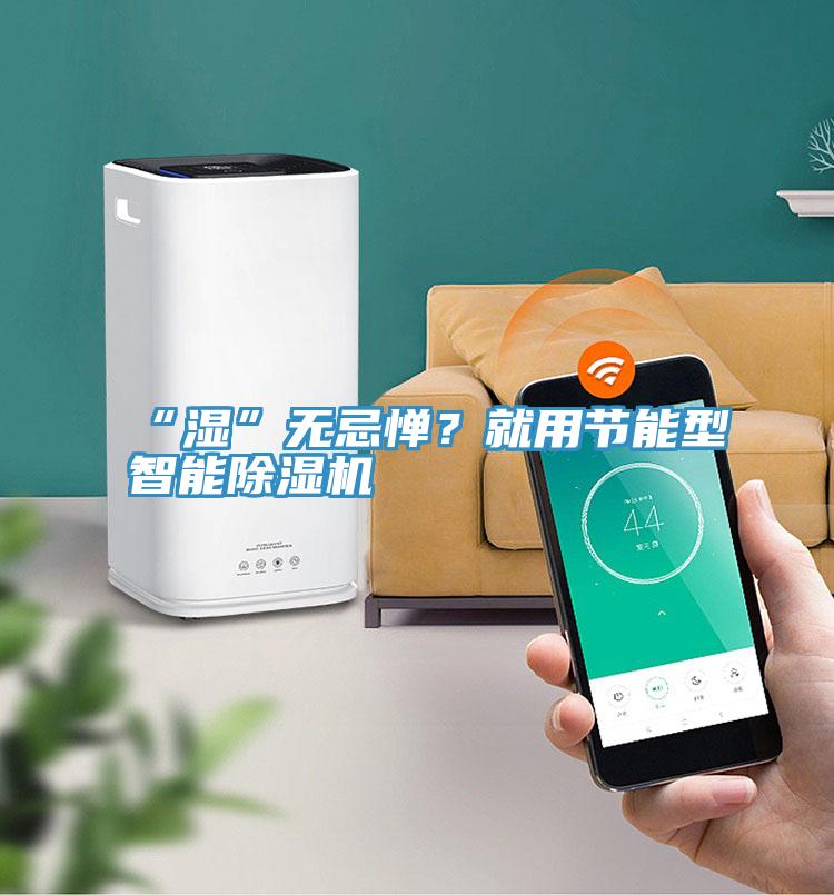 “濕”無忌憚？就用節(jié)能型智能除濕機