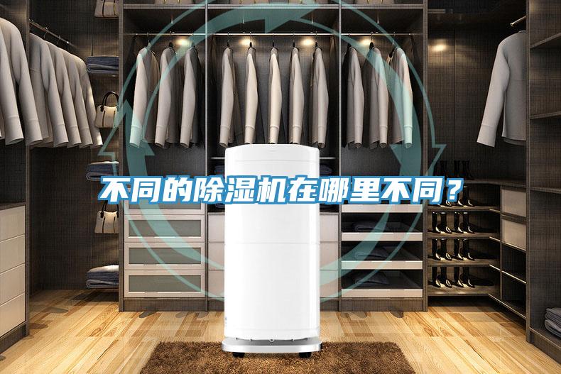 不同的除濕機在哪里不同？