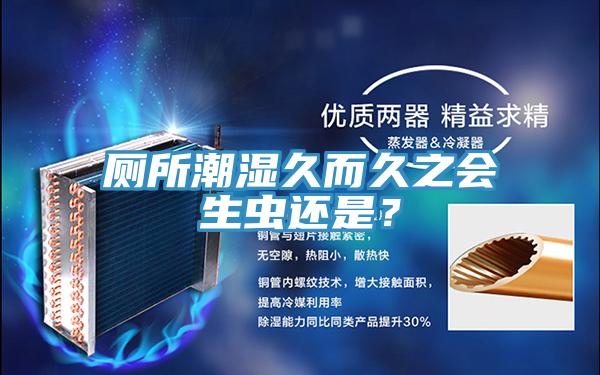 廁所潮濕久而久之會(huì)生蟲(chóng)還是？