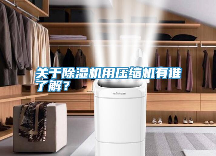 關(guān)于除濕機(jī)用壓縮機(jī)有誰了解？