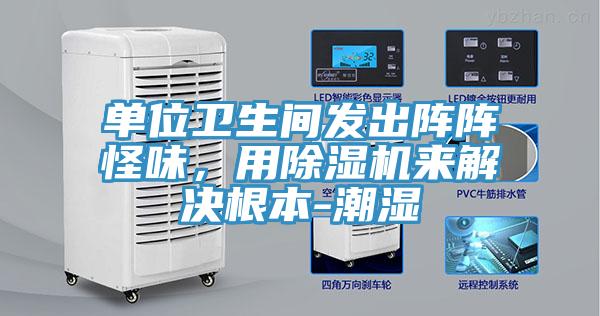 單位衛(wèi)生間發(fā)出陣陣怪味，用除濕機來解決根本-潮濕