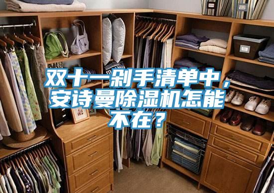 雙十一剁手清單中，安詩(shī)曼除濕機(jī)怎能不在？