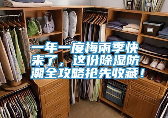 一年一度梅雨季快來了，這份除濕防潮全攻略搶先收藏！
