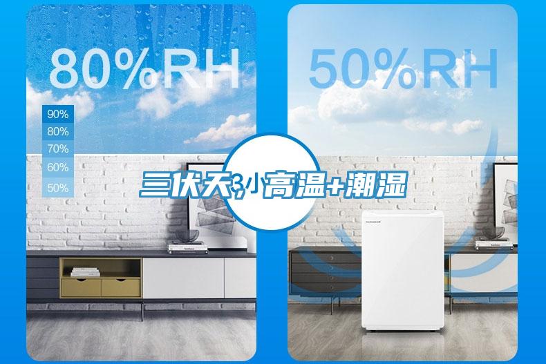 三伏天，高溫+潮濕