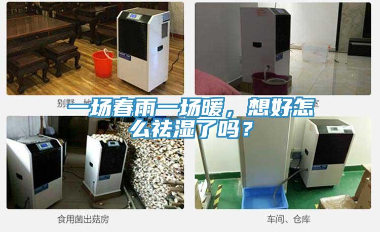 一場春雨一場暖，想好怎么祛濕了嗎？