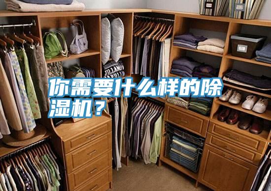 你需要什么樣的除濕機(jī)？