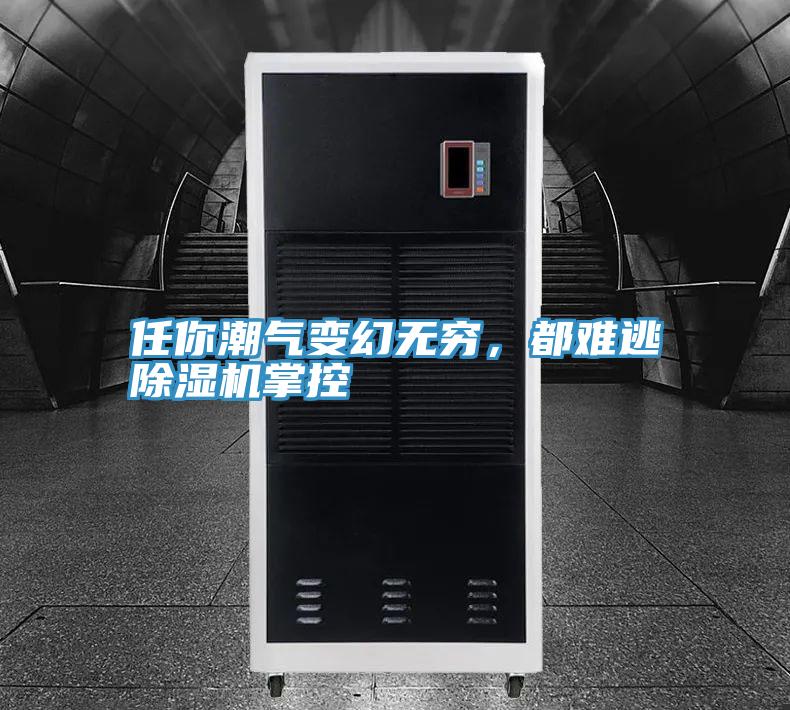 任你潮氣變幻無(wú)窮，都難逃除濕機(jī)掌控