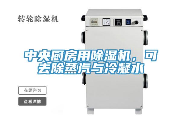 中央廚房用除濕機(jī)，可去除蒸汽與冷凝水