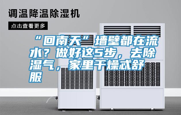 “回南天”墻壁都在流水？做好這5步，去除濕氣，家里干燥忒舒服