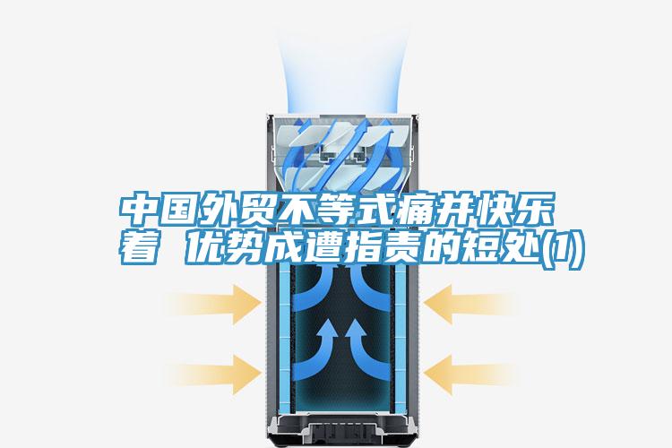中國外貿不等式痛并快樂著 優(yōu)勢成遭指責的短處(1)