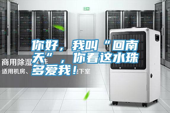 你好，我叫“回南天”，你看這水珠多愛我！