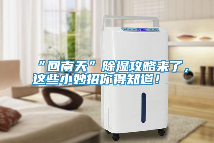 “回南天”除濕攻略來(lái)了，這些小妙招你得知道！