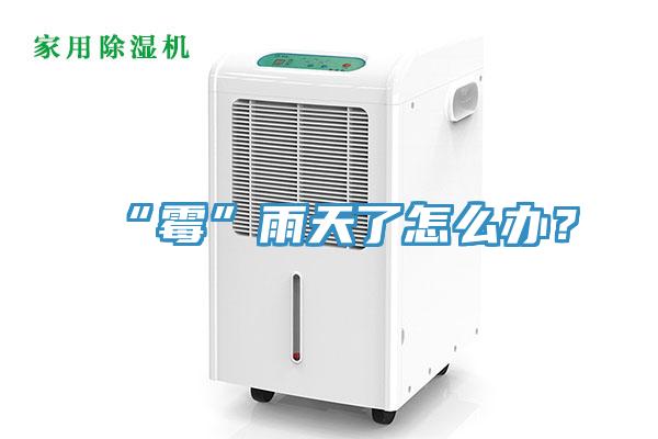 “霉”雨天了怎么辦？