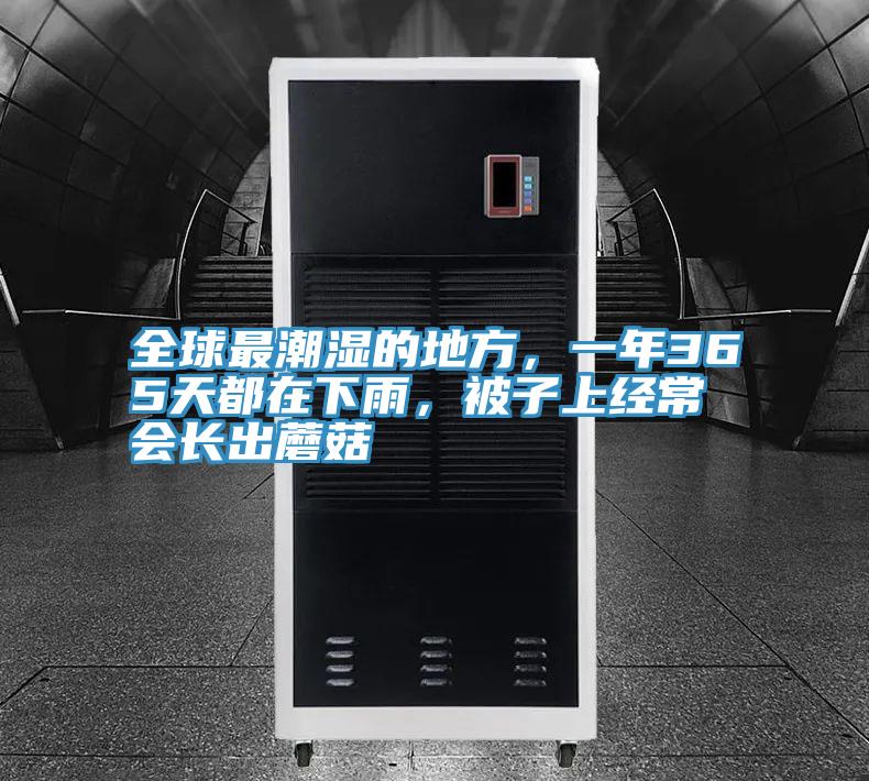 全球最潮濕的地方，一年365天都在下雨，被子上經(jīng)常會長出蘑菇