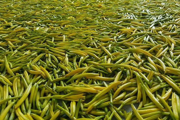 無(wú)硫金針菜烘干如何保持品相？不發(fā)黑？_除濕機(jī)廠家