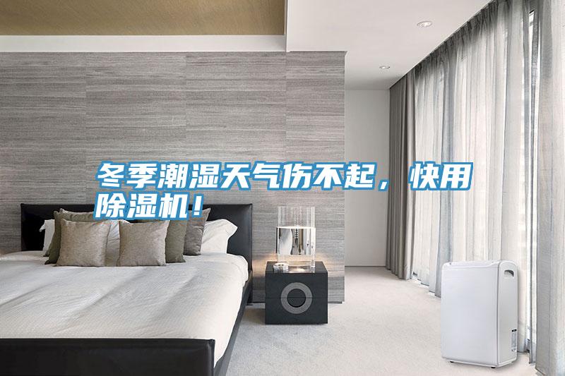 冬季潮濕天氣傷不起，快用除濕機(jī)！