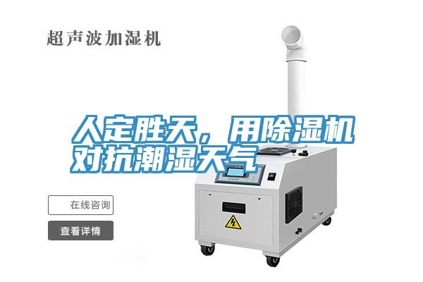 人定勝天，用除濕機對抗潮濕天氣