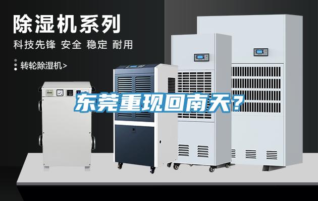 東莞重現(xiàn)回南天？