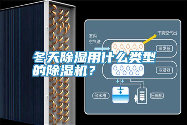 冬天除濕用什么類型的除濕機？