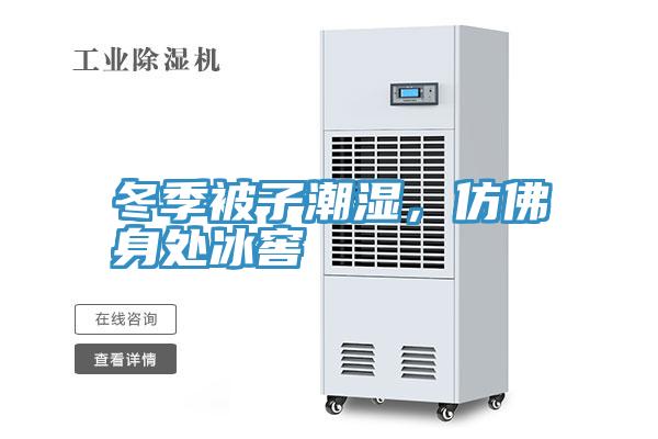 冬季被子潮濕，仿佛身處冰窖