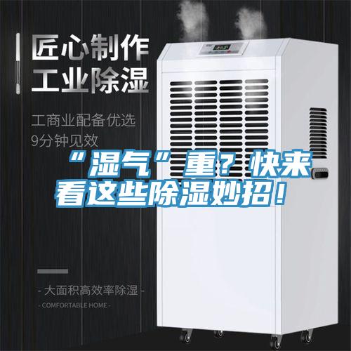 “濕氣”重？快來看這些除濕妙招！