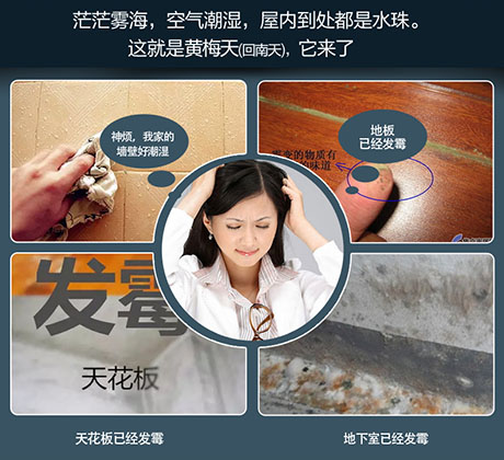 家庭別墅的地下室、衛(wèi)生間、儲物室等該如何除濕？