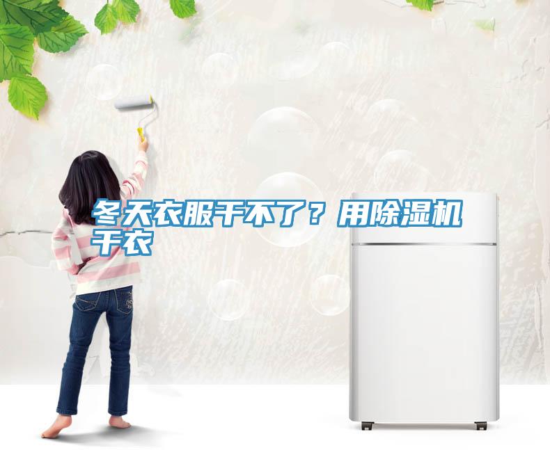 冬天衣服干不了？用除濕機干衣