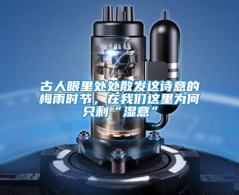 古人眼里處處散發(fā)這詩(shī)意的梅雨時(shí)節(jié)，在我們這里為何只剩“濕意”