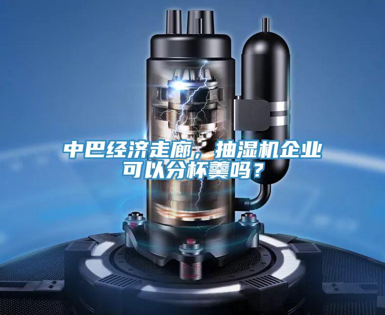 中巴經(jīng)濟(jì)走廊，抽濕機(jī)企業(yè)可以分杯羹嗎？