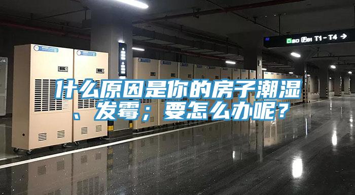 什么原因是你的房子潮濕、發(fā)霉；要怎么辦呢？