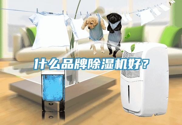 什么品牌除濕機好？