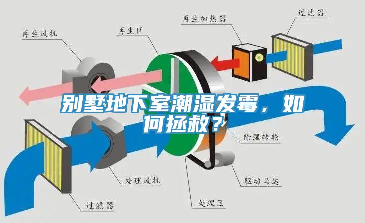 別墅地下室潮濕發(fā)霉，如何拯救？