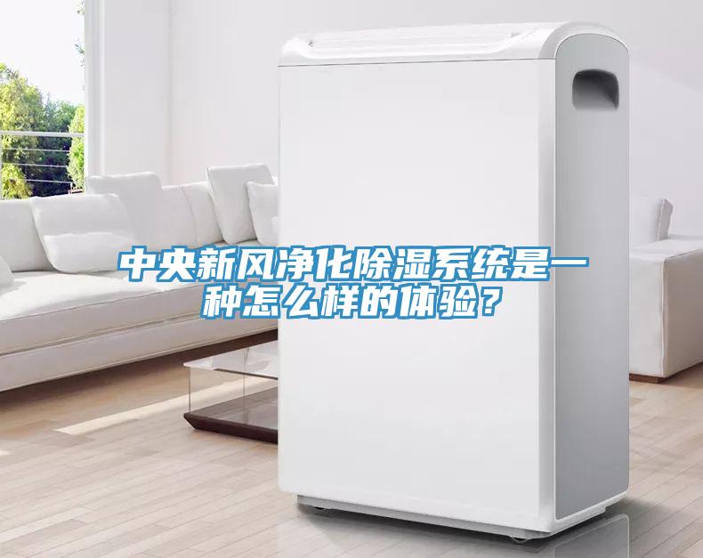 中央新風(fēng)凈化除濕系統(tǒng)是一種怎么樣的體驗(yàn)？