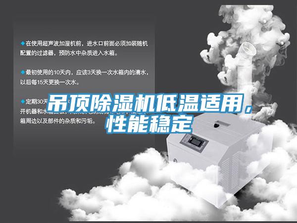 吊頂除濕機低溫適用，性能穩(wěn)定